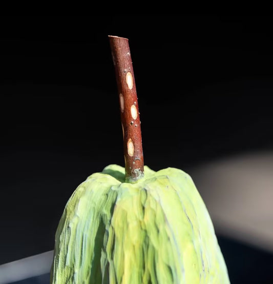 Handcrafted Camphorwood Green Pear Ornament