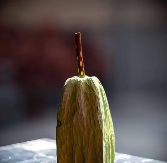 Handcrafted Camphorwood Green Pear Ornament